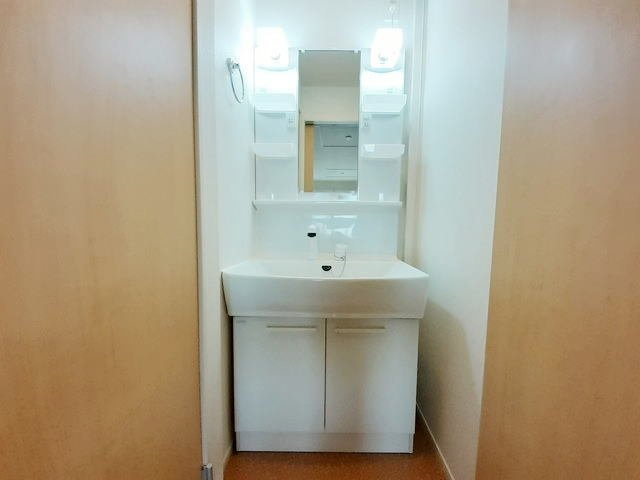 カーサ　グランデⅢの洗面所