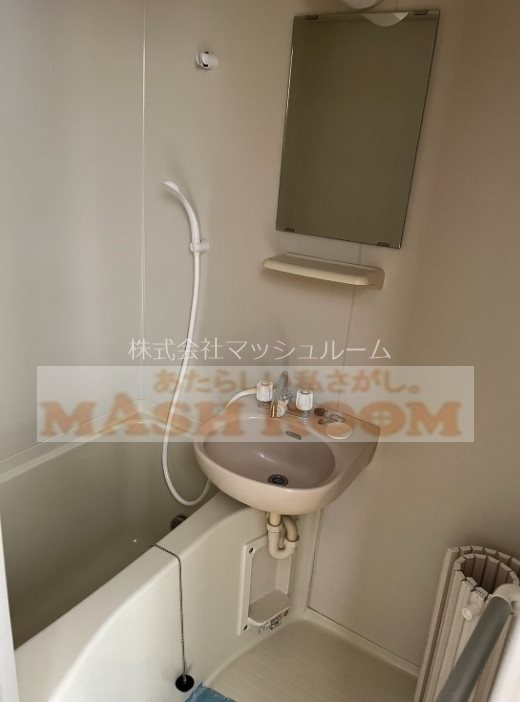 ハックベリーの浴室