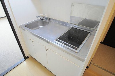 レオネクスト玉手Ⅱのキッチン