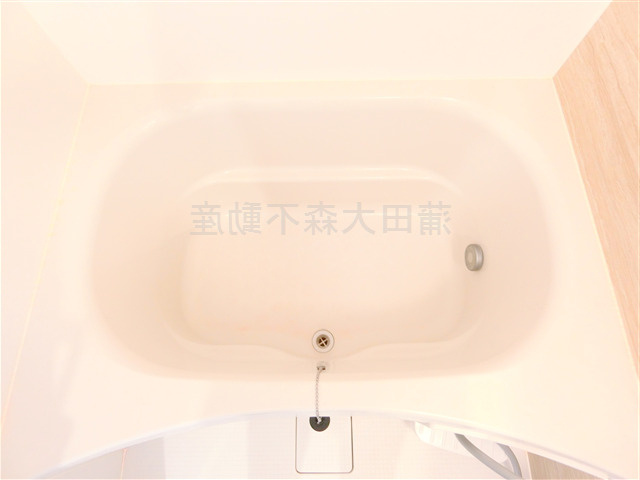 ドゥーエ蒲田南の浴室