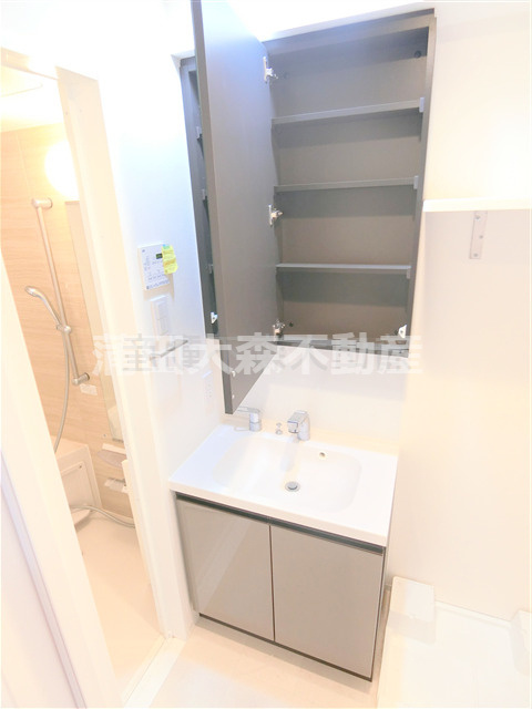 ドゥーエ蒲田南の洗面所