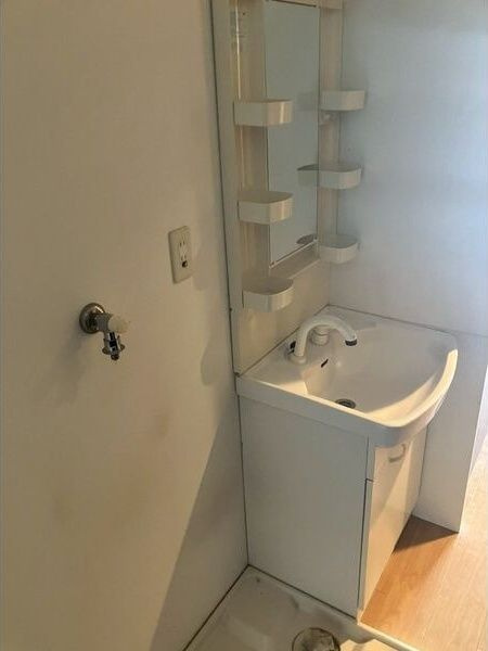 アップルガーデンコート城東の洗面所