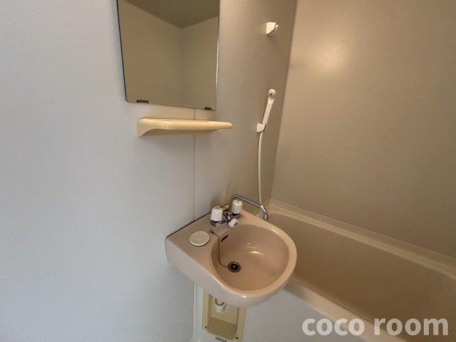 フェリス・Nの洗面所