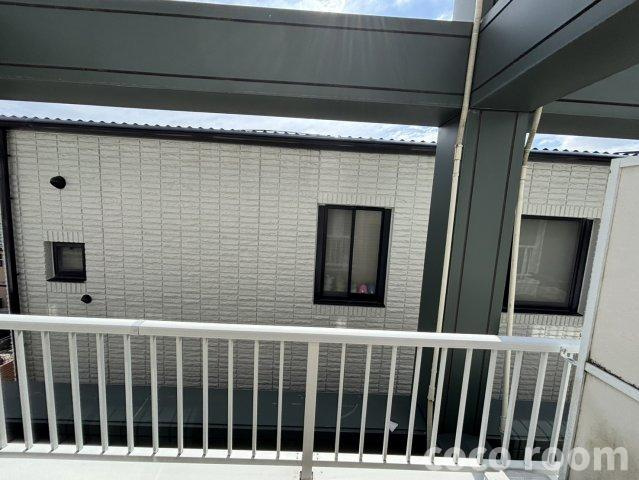 フェリス・Nの展望