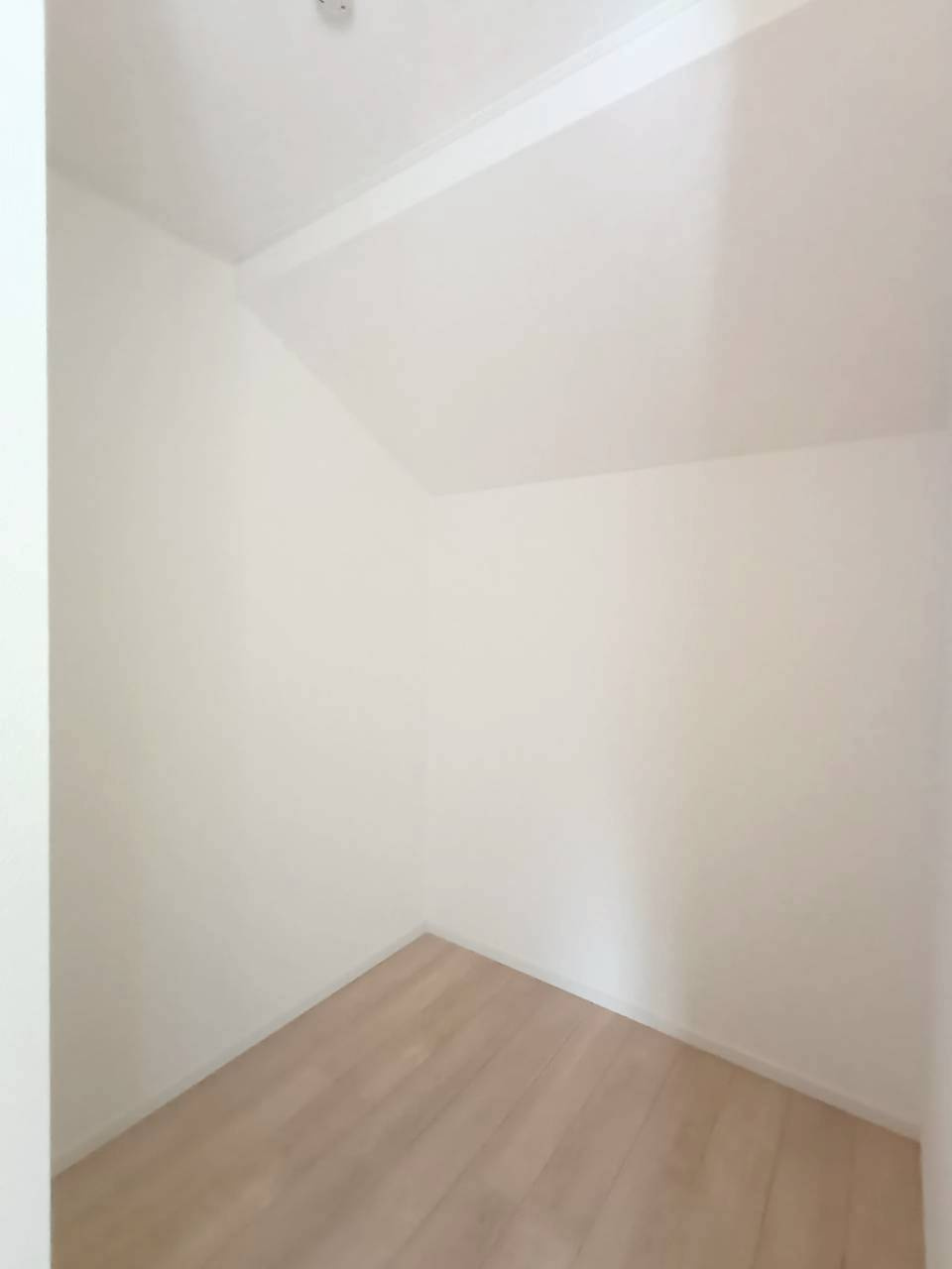 三郷市　彦成1丁目　新築戸建　全1棟の収納|納戸収納