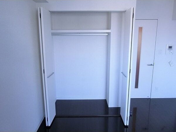 プロシード瑞穂の収納