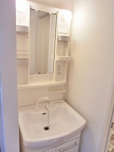 プロシード瑞穂の洗面所