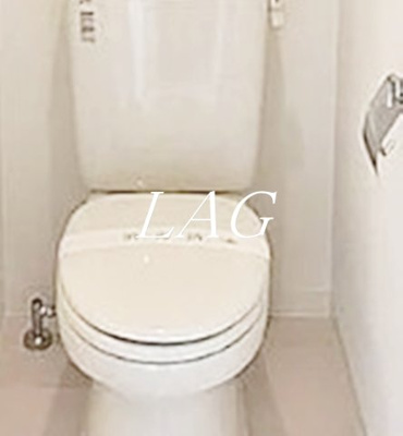 【トイレ】 | ビバリーホームズ久が原ＩＩ | トイレです。