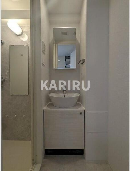 エスリード大阪平野プライムの洗面所