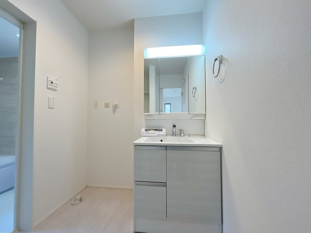 深谷市針ヶ谷　新築戸建　全4区画　の独立洗面台