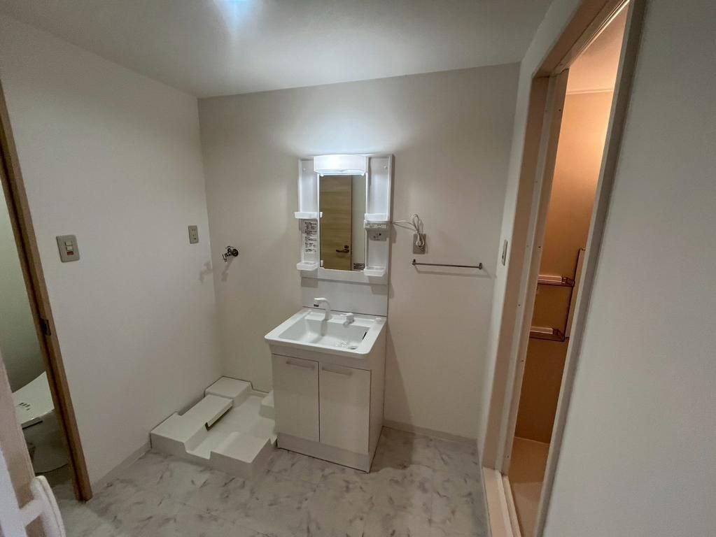 ニードハイツの洗面所