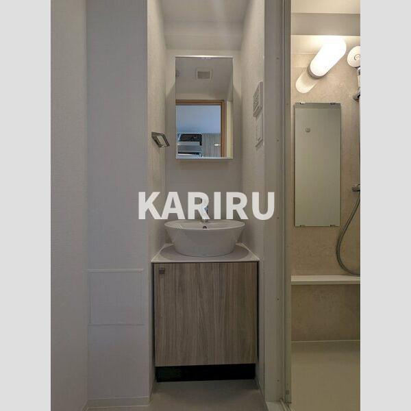 エスリード大阪平野プライムの洗面所