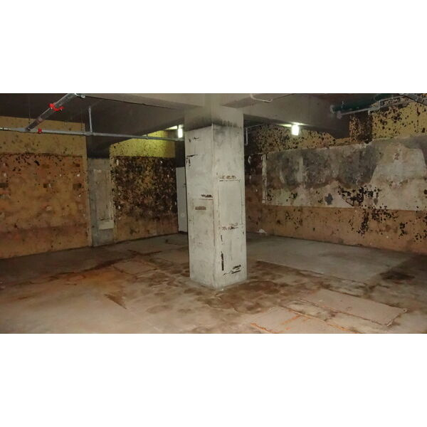 ピボットワシントン栄のその他