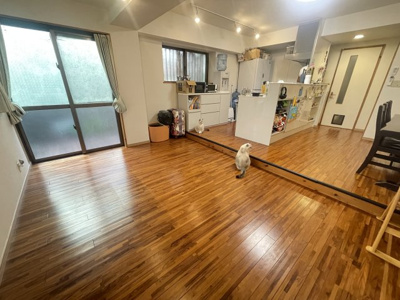 【居間・リビング】 | コミュニティハウス嘉数 | J号室　LDK16.4帖♪