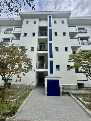 香里三井F住宅83号棟の外観|寝屋川市立国松緑丘小学校　約350ｍ（徒歩約5分）
寝屋川市立第六中学校まで　約1100ｍ（徒歩約14分）