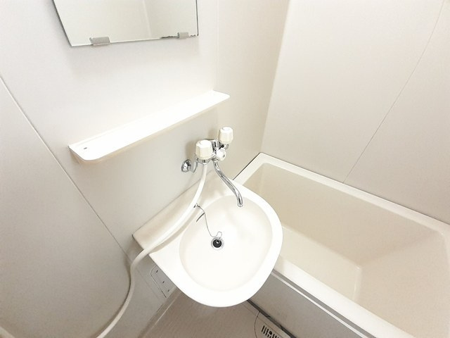 エルディム野口の洗面所