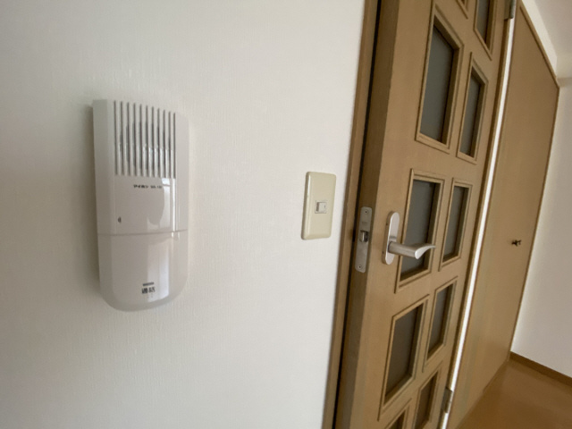 ソレアードのその他