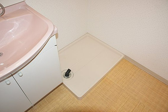 プラザインペリアルの洗面所