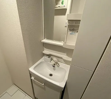プラチナフォルム駒込の洗面所