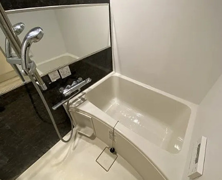 プラチナフォルム駒込の浴室