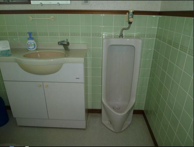 宇都宮市兵庫塚１丁目　4ＳＬＤＫ　中古住宅のその他|小便器付きのトイレです。