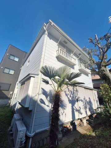 ハイムサンフラワー