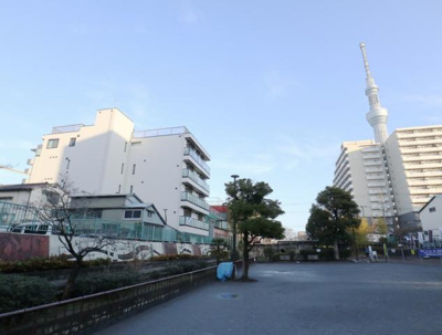 【その他】 | プリュネ本所