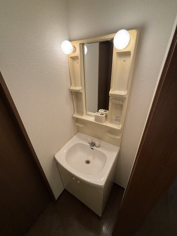 プティメゾン入船の独立洗面台