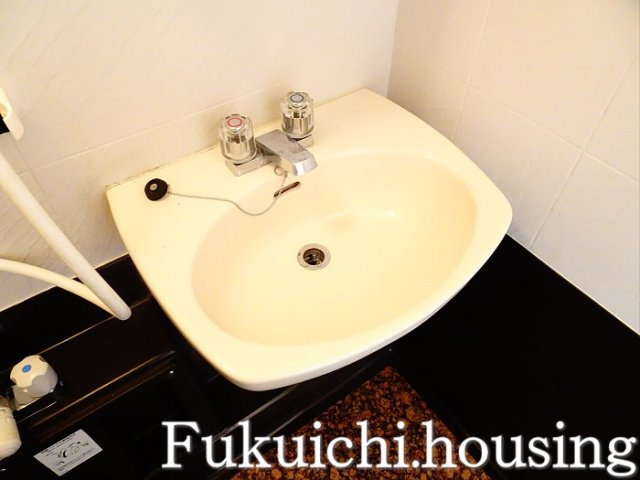 エヌエフ桜上水の洗面所