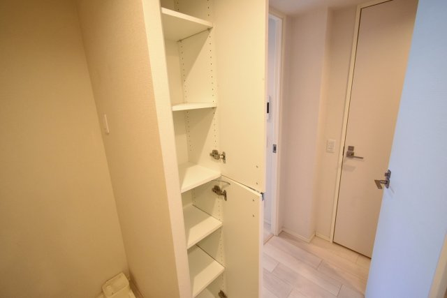 ブランシエスタ西宮の収納|洗面室