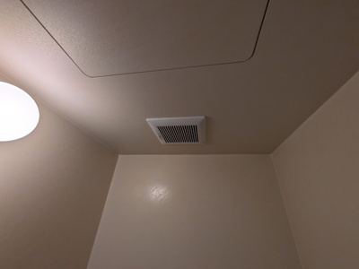 バス