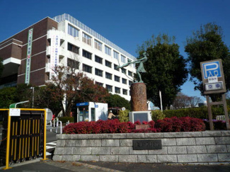 大和市役所　800ｍ