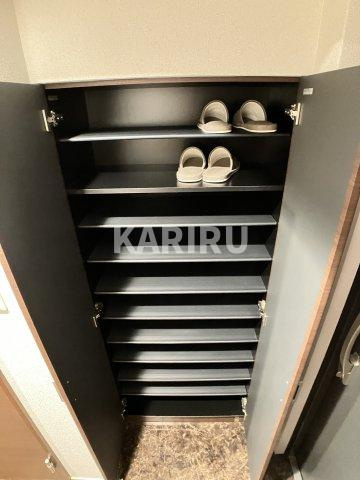 スプランディッド淀屋橋DUEの収納