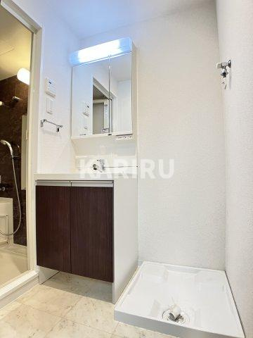 スプランディッド淀屋橋DUEの洗面所