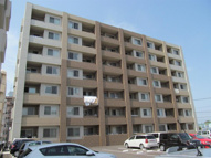 ヴェルディの画像