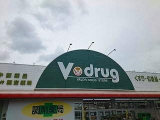 ブルージュⅡの周辺|Ｖ・ｄｒｕｇまで350m