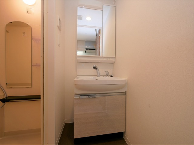 プレサンス難波クチュールの洗面所