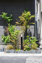 【エントランス】 | 緑鮮やかな植栽で自然との触れ合いが叶います
2025年10月10日撮影