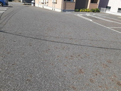 【その他共用部分】 | サンリットガーデンⅡ