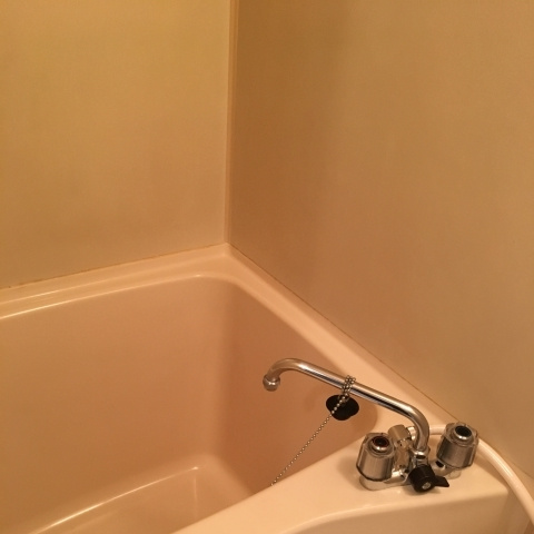 ファミールＮの浴室