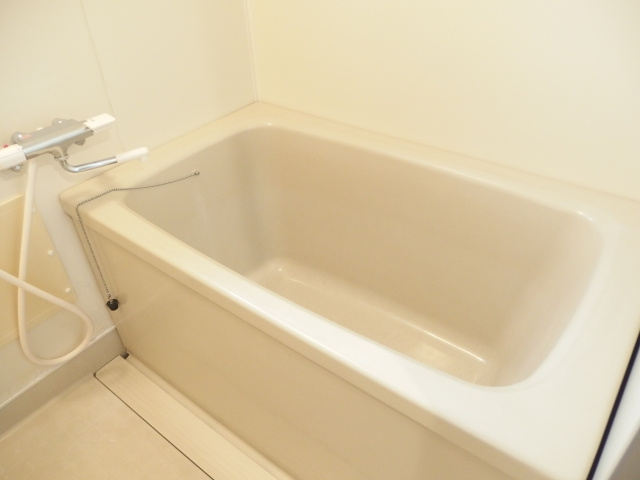 ドミールFUTABAの浴室