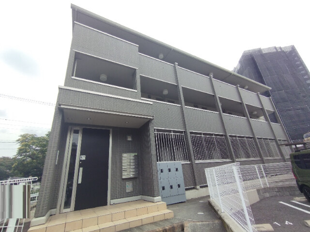 グレイスコート