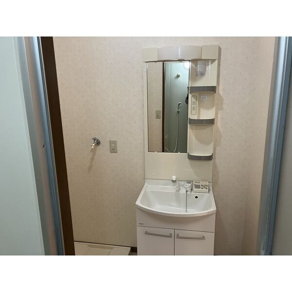 サニーコートＯＯＫＡＷＡＲＡ　Ｂの洗面所