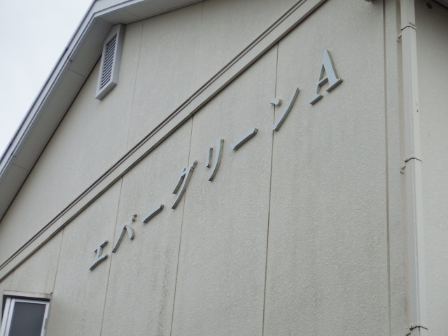 エバーグリーン　Ａのその他