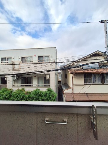 Luce Felice di TOGの展望