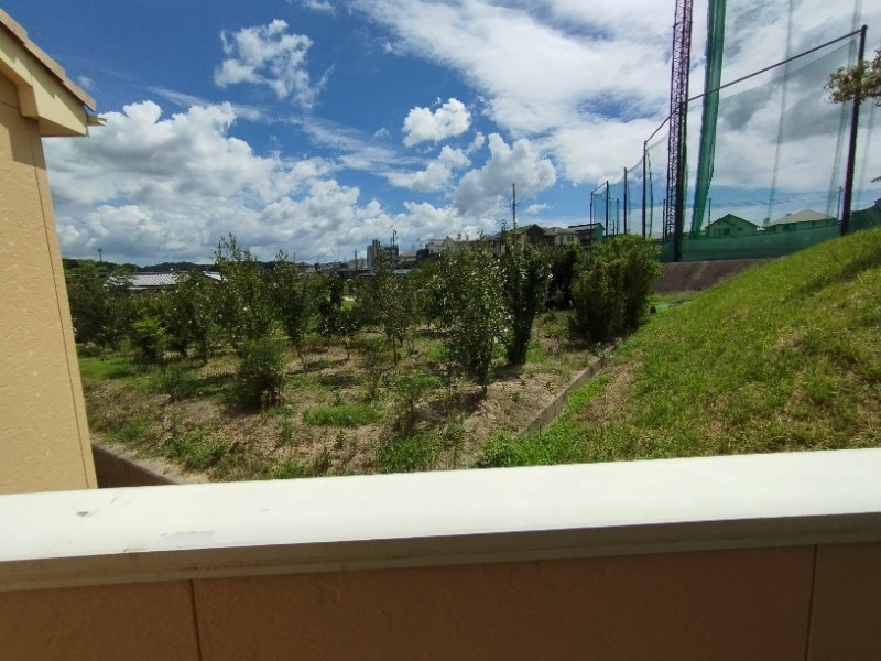 スターブルⅡの展望