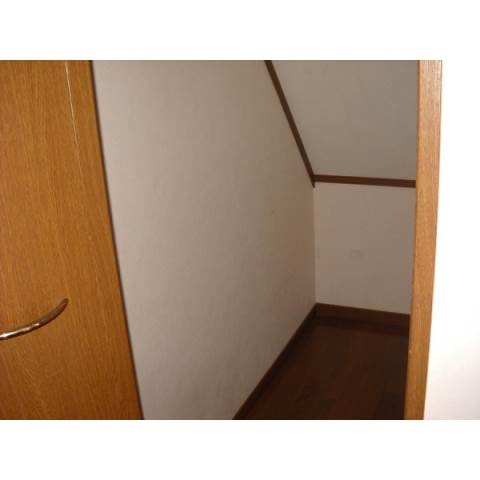 ラーラＹ・Ｓのその他