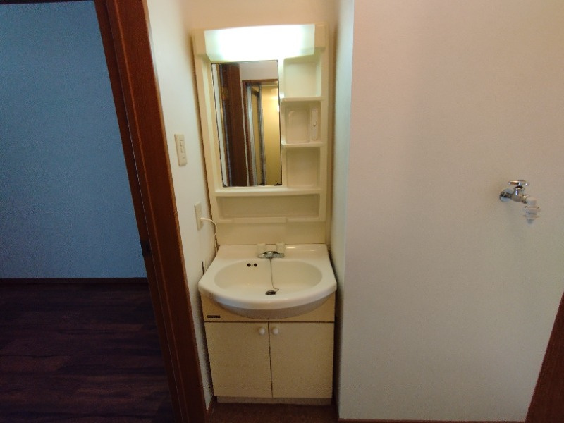 ドエルマルシェＤの洗面所