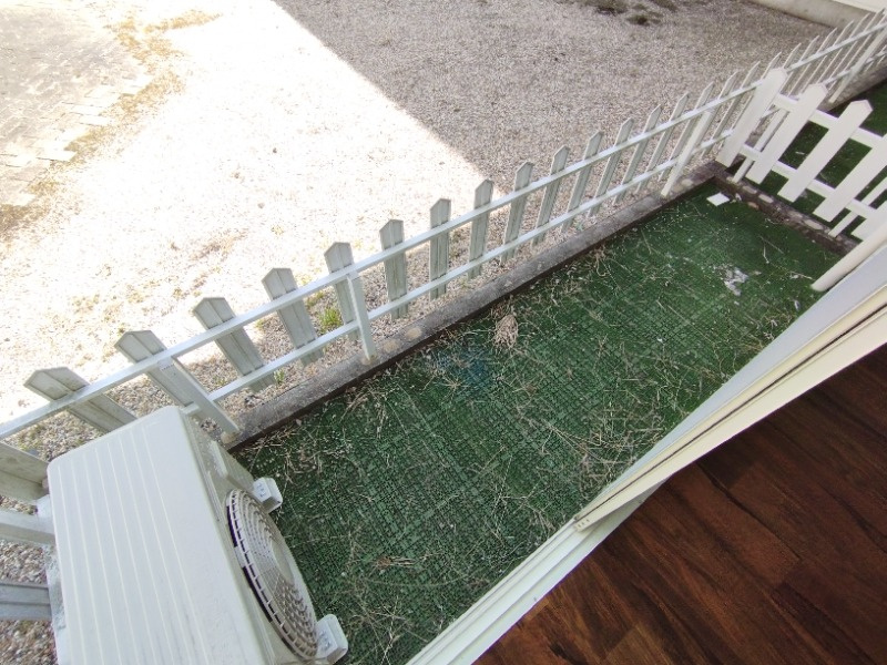 ドエルマルシェＤの庭