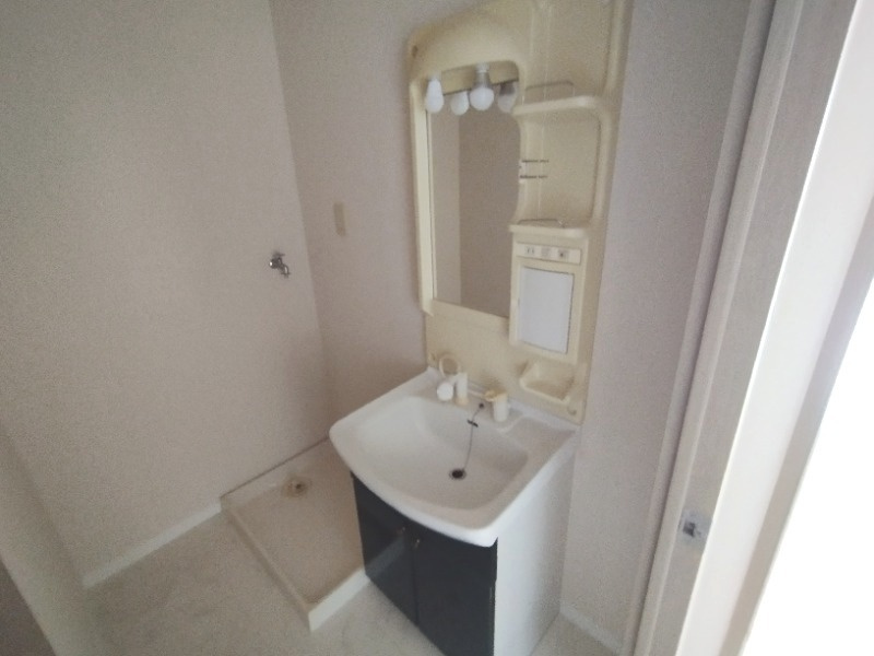 ネオグランデ２１の洗面所